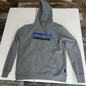 Patagonia Gray Hoodie for Men size medium